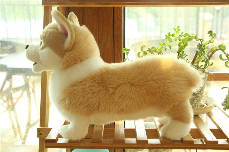 Realistic Animal Plush Stuffed Toy - Corgi / Pomeranian