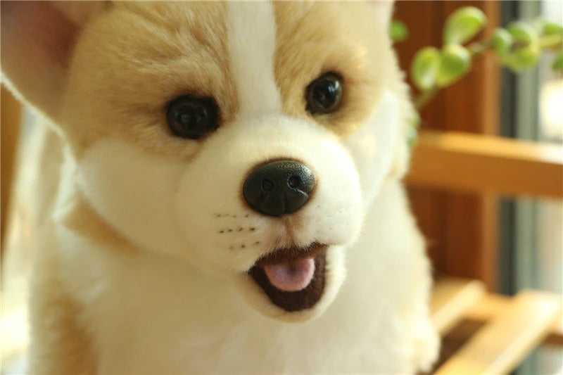 Realistic Animal Plush Stuffed Toy - Corgi / Pomeranian