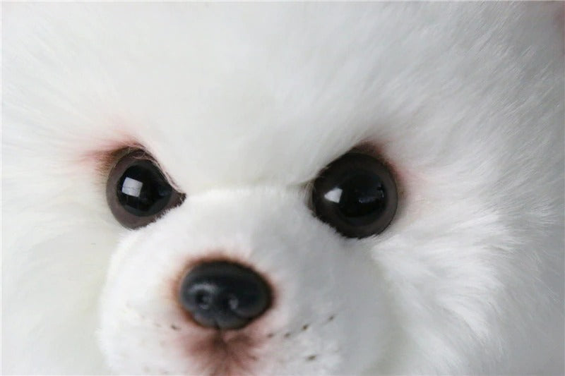 Realistic Animal Plush Stuffed Toy - Corgi / Pomeranian