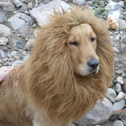 Golden Retriever Costume Hat