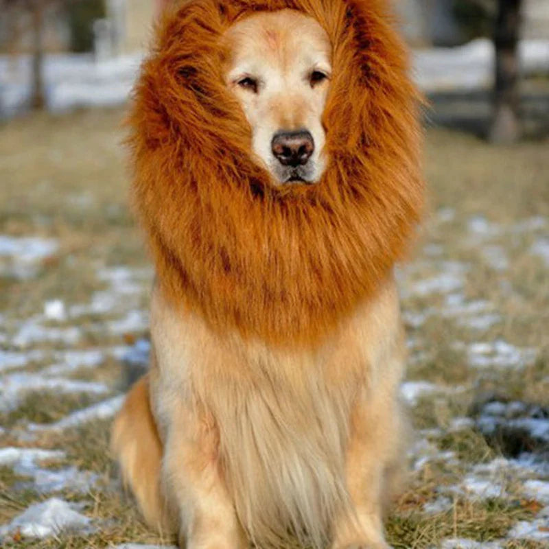 Golden Retriever Costume Hat