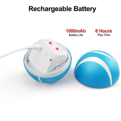 Busy Ball Dog Toy Smart & Interactive
