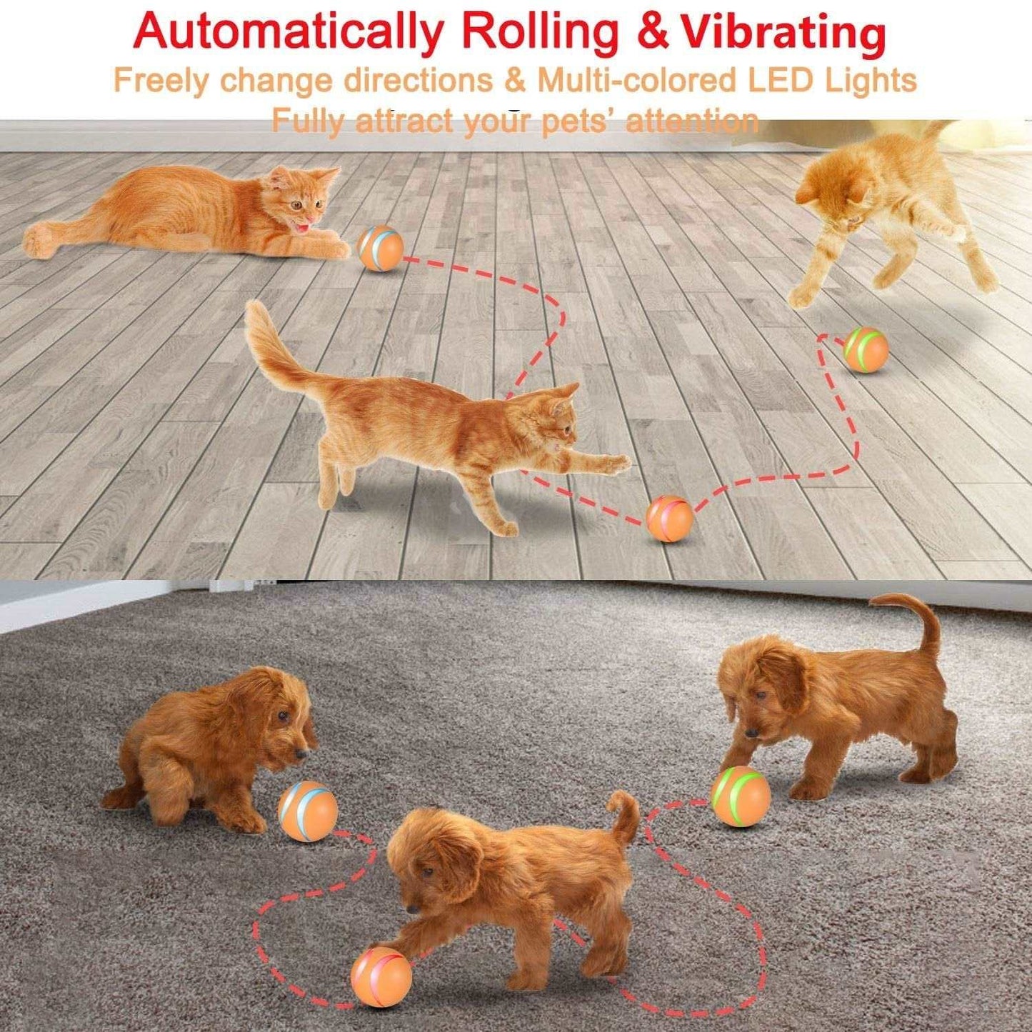 Busy Ball Dog Toy Smart & Interactive