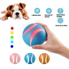 Busy Ball Dog Toy Smart & Interactive