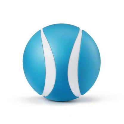 Busy Ball Dog Toy Smart & Interactive