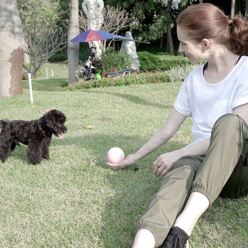 Busy Ball Dog Toy Smart & Interactive