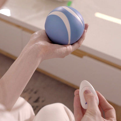 Busy Ball Dog Toy Smart & Interactive