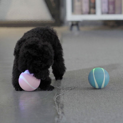 Busy Ball Dog Toy Smart & Interactive