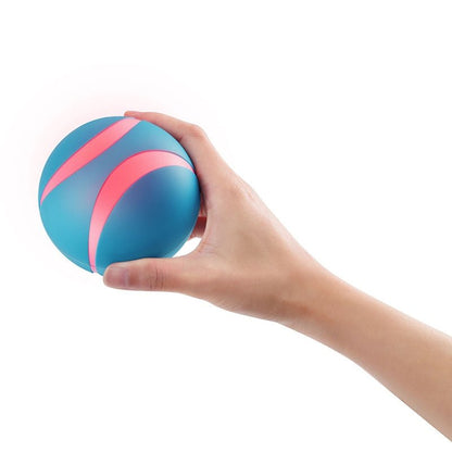 Busy Ball Dog Toy Smart & Interactive