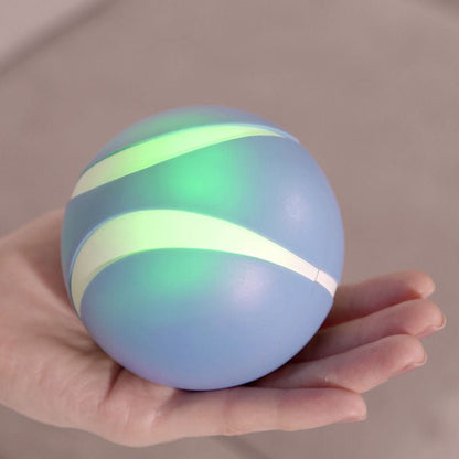 Busy Ball Dog Toy Smart & Interactive