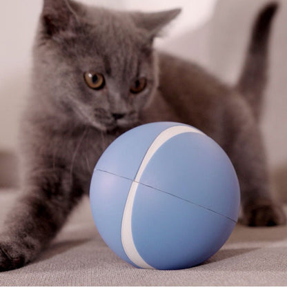 Busy Ball Dog Toy Smart & Interactive