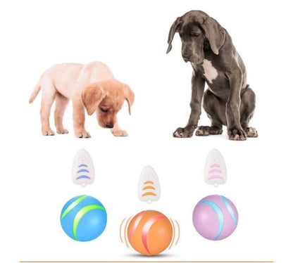 Busy Ball Dog Toy Smart & Interactive