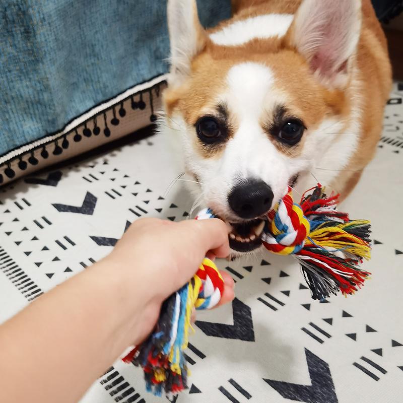Dog Bite Rope Toy