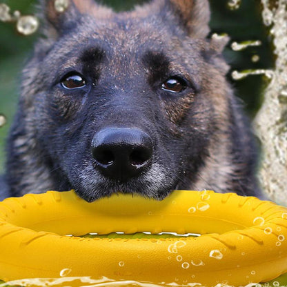 Flying Discs Dog Training Toy Ring