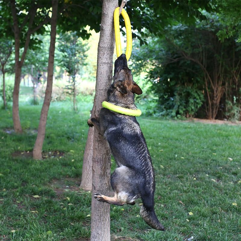 Flying Discs Dog Training Toy Ring