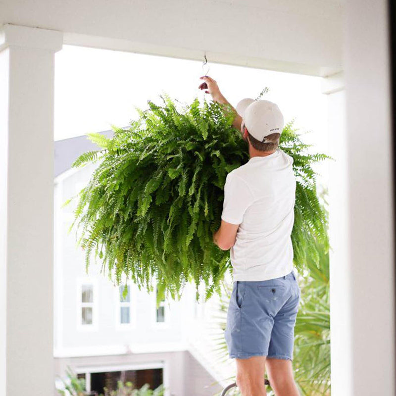 UV-Resistant Lifelike Artificial Boston Fern