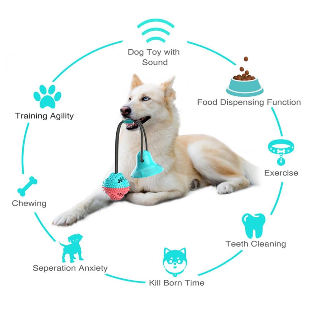 Interactive Dog Toy - Suction Cup Push Rope Ball