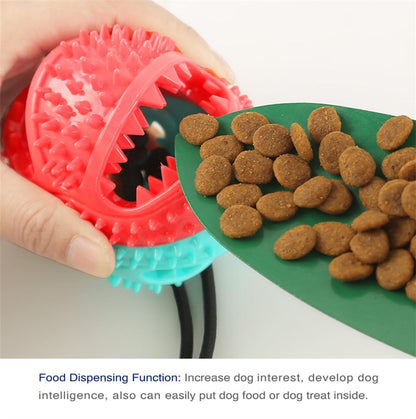 Interactive Dog Toy - Suction Cup Push Rope Ball