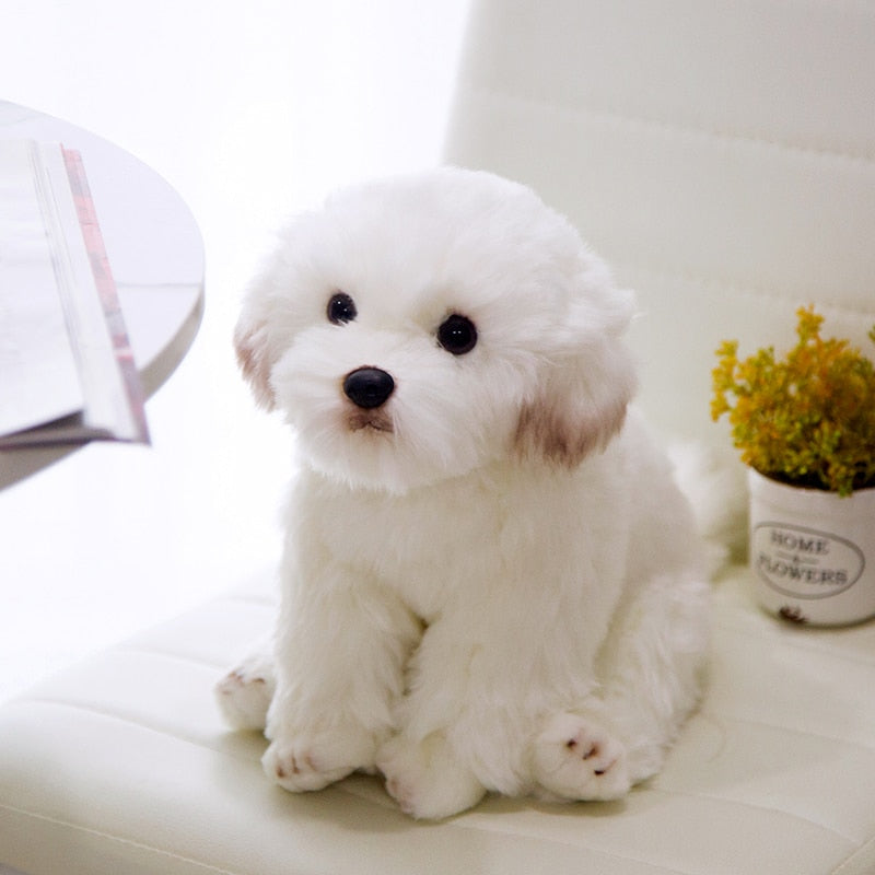 Realistic Animal Plush Stuffed Toy - Corgi / Pomeranian