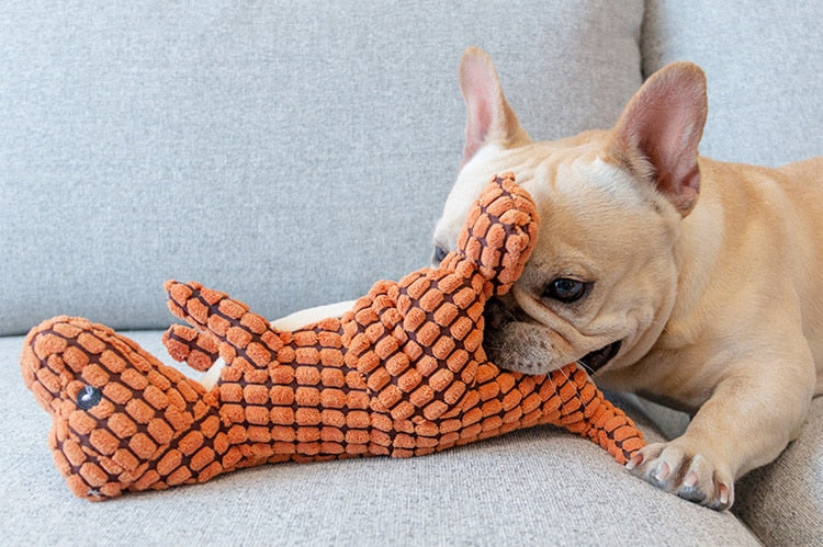 Dinosaur Dog Toy