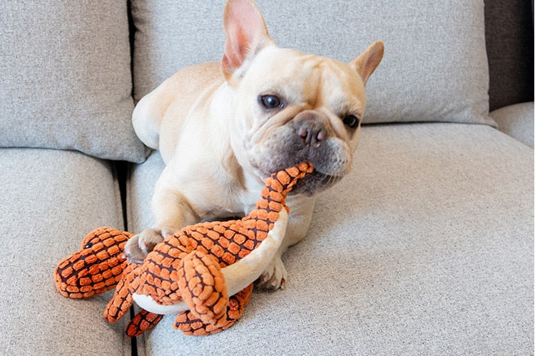 Dinosaur Dog Toy