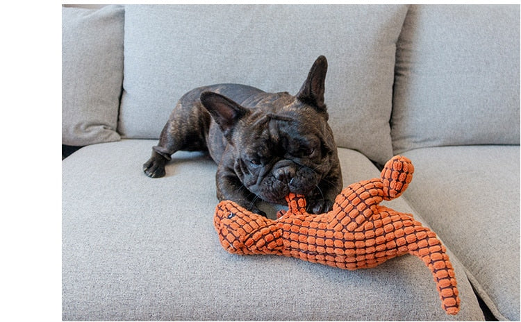 Dinosaur Dog Toy