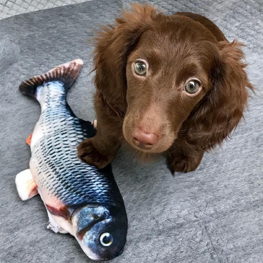 Floppy Fish Dog Toy