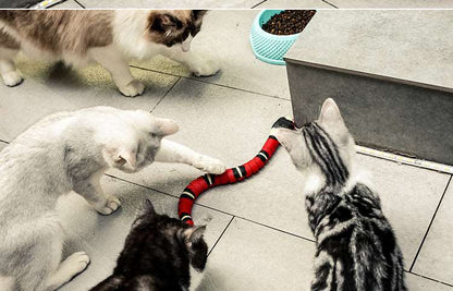 Cat Snake Toy