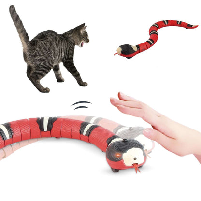 Cat Snake Toy