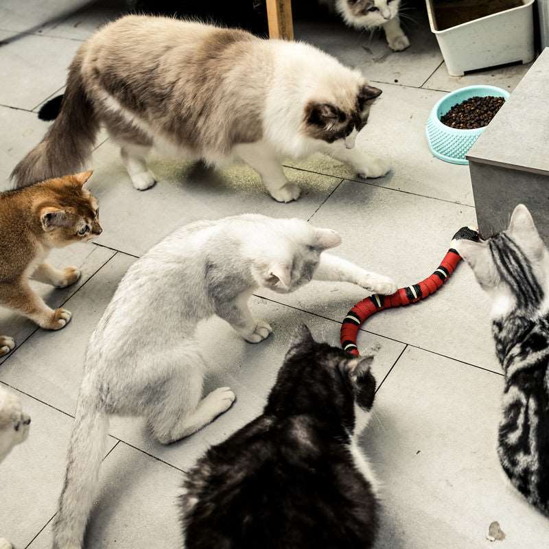 Cat Snake Toy