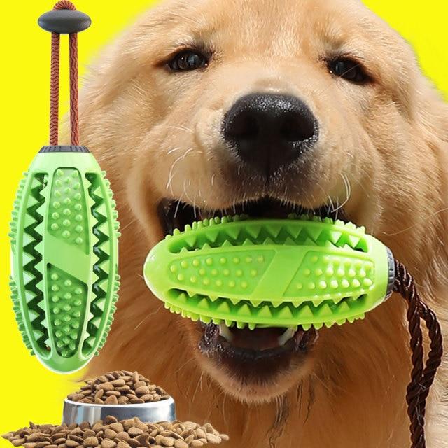 Dog Toothbrush Chew Toy