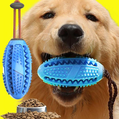 Dog Toothbrush Chew Toy