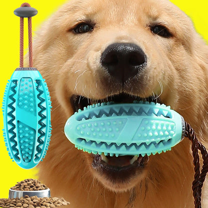 Dog Toothbrush Chew Toy
