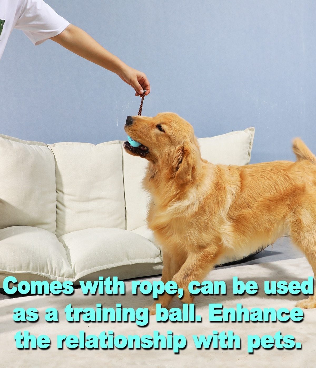 Dog Toothbrush Chew Toy