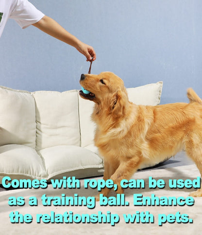 Dog Toothbrush Chew Toy