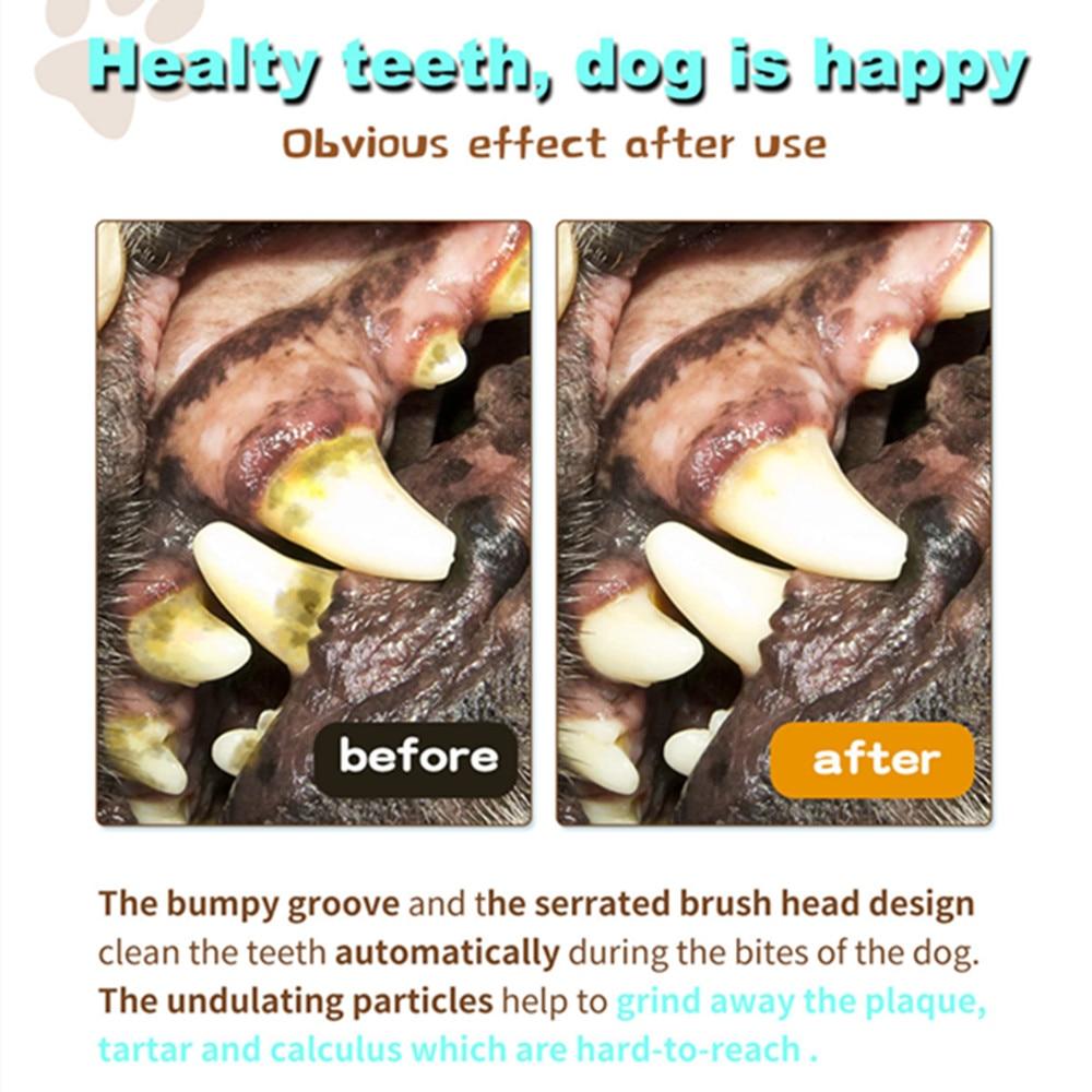 Dog Toothbrush Chew Toy