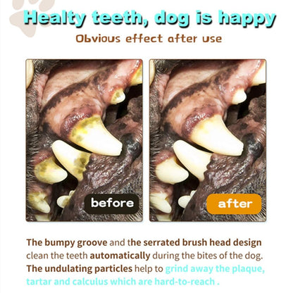 Dog Toothbrush Chew Toy